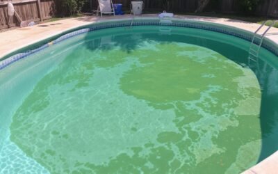 Rattraper une eau verte de piscine : le guide complet en 48h