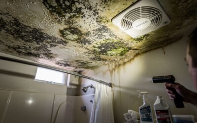 Moisissure au plafond de la salle de bain : causes et solutions