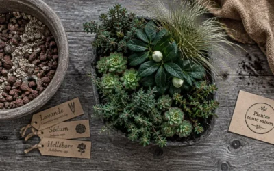 Une plante extérieure toute saison garde le décor vert, mais le pot gèle avant le feuillage